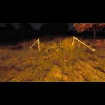 2015-07-15 00007 - Zaun um Fels in Grishino