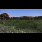 2015-07-16 00007 - Malerische Landschaften