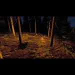 2015-07-17 00007 - Blairwich